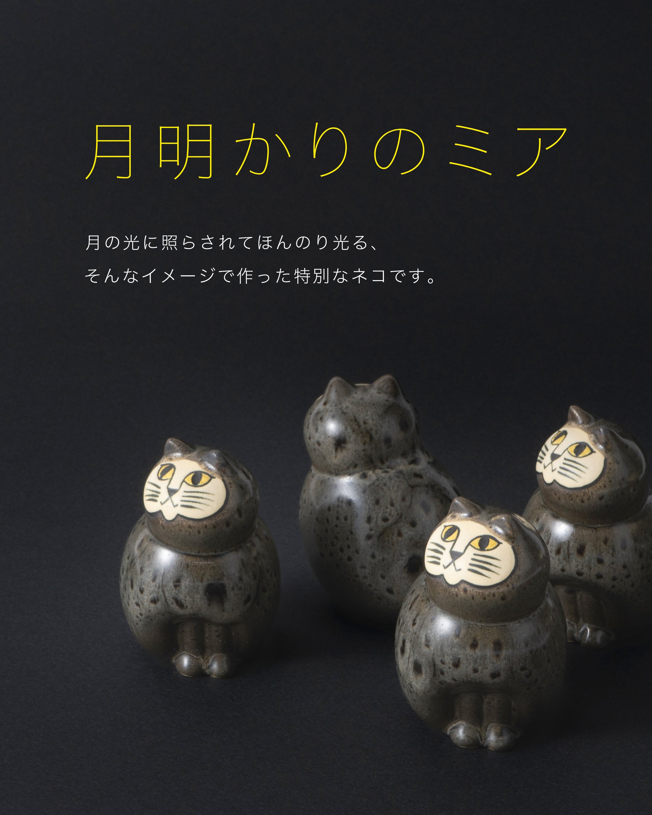 今年最後の月明かり！