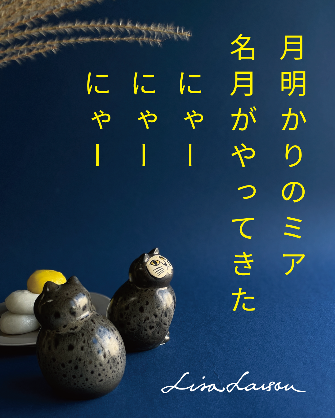 名月がやってきた にゃーにゃーにゃー