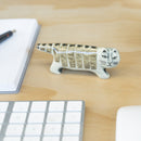 來自日本的麗莎貓(首先,Mashiko)