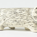 日本的丽莎猫(五号、丹波)雾白