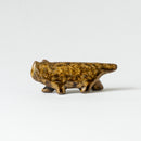 日本的丽莎猫(六号、丹波)土昌