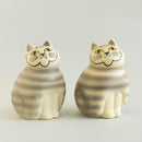 MIA培養基(灰色)