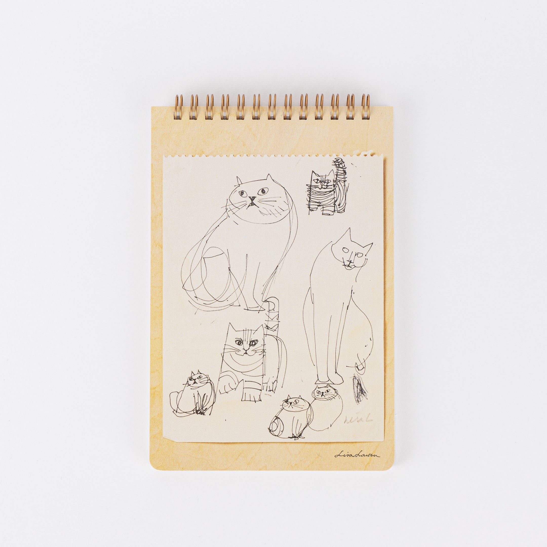 スケッチブック（Found Cats Series）