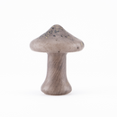 【Mushroom】Fjällskivling