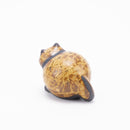 Shinta Tanuki Set(Shigaraki和Mashiko Ware)