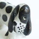 KENNEL Spaniel spotted Isetan January 2025