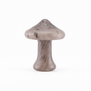 【Mushroom】Fjällskivling