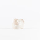 KOALA_02