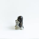 KENNEL Spaniel spotted Isetan January 2025