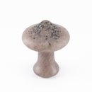 【Mushroom】Fjällskivling