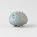 日本的刺猬。 (灰色的)