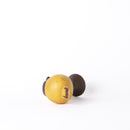 Bird Tekla (Yellow) No.53