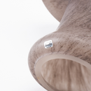 【Mushroom】Fjällskivling