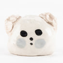 KOALA_02