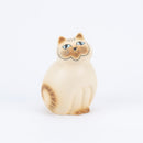 MIA培養基(白棕色)