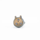 Eye diarrhea G supplementary ST