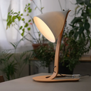 Grand Cornet Desk Lamp