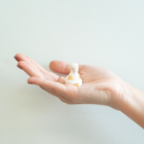 Lisa Larson福庫米餅乾