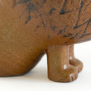 AFRICA LION