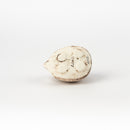 Hedgehog (piggy)