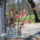 April vase (M)