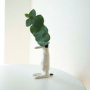 Vase (dog named)