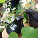 Small bird vase