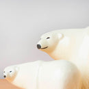 Polar Bear Medium