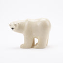 Polar Bear Medium