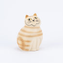 MIA培養基(棕色)