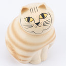 MIA培養基(棕色)