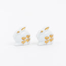 hikari no usagi oyako set(kirari)