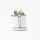 Bucket flower pot (planting / cactus) (SETO)