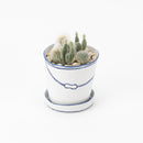Bucket flower pot (planting / cactus) (SETO)