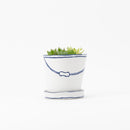 Bucket flower pot (planting, Haorcia) (SETO)