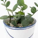 Bucket flower pot (single planting / green drum) (SETO)