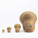 Lion family set