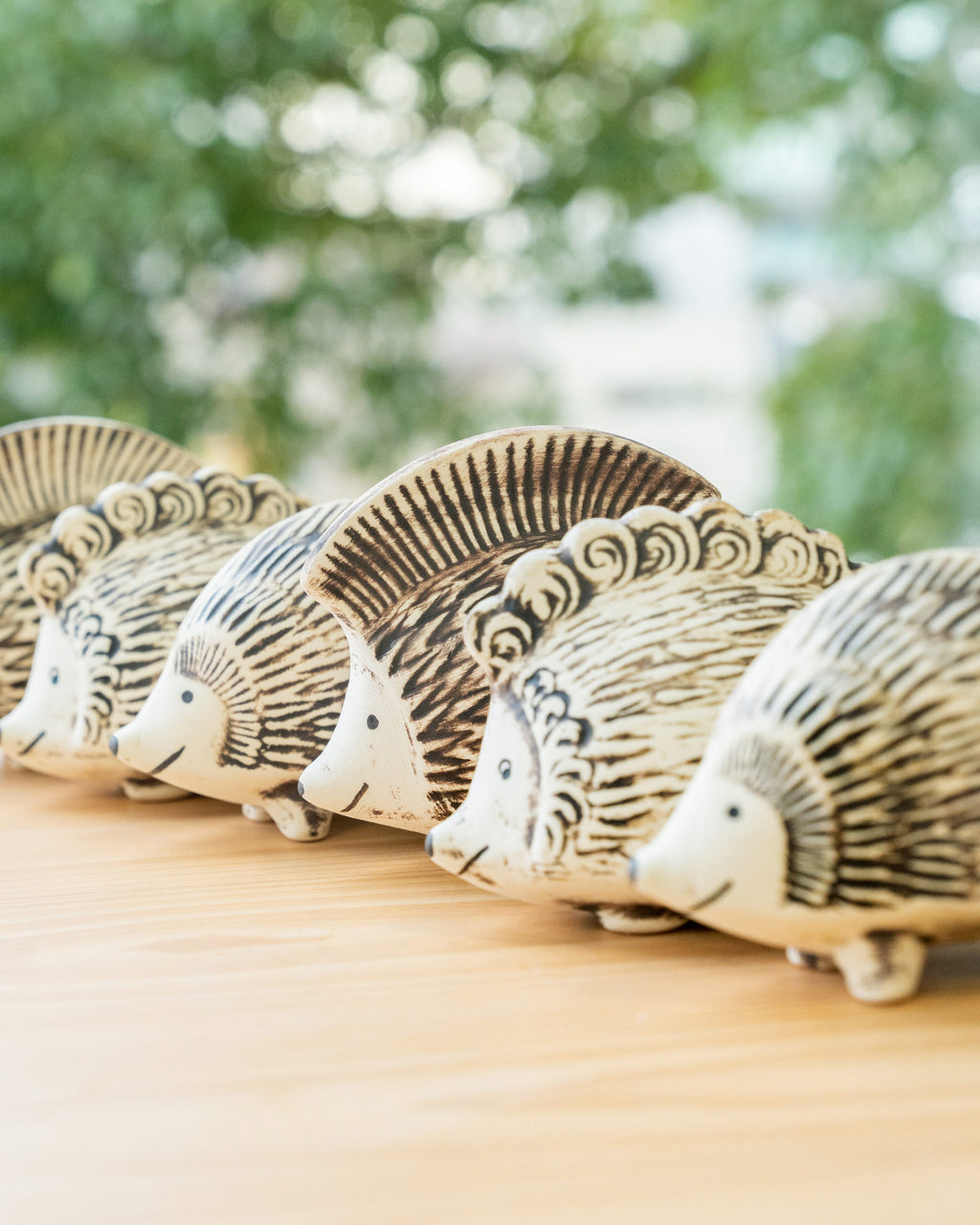 hedgehog_day2023_01_1024x.jpg?