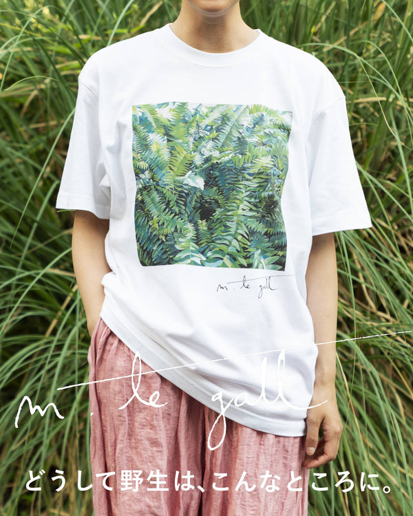 どうして野生は、こんなところに。