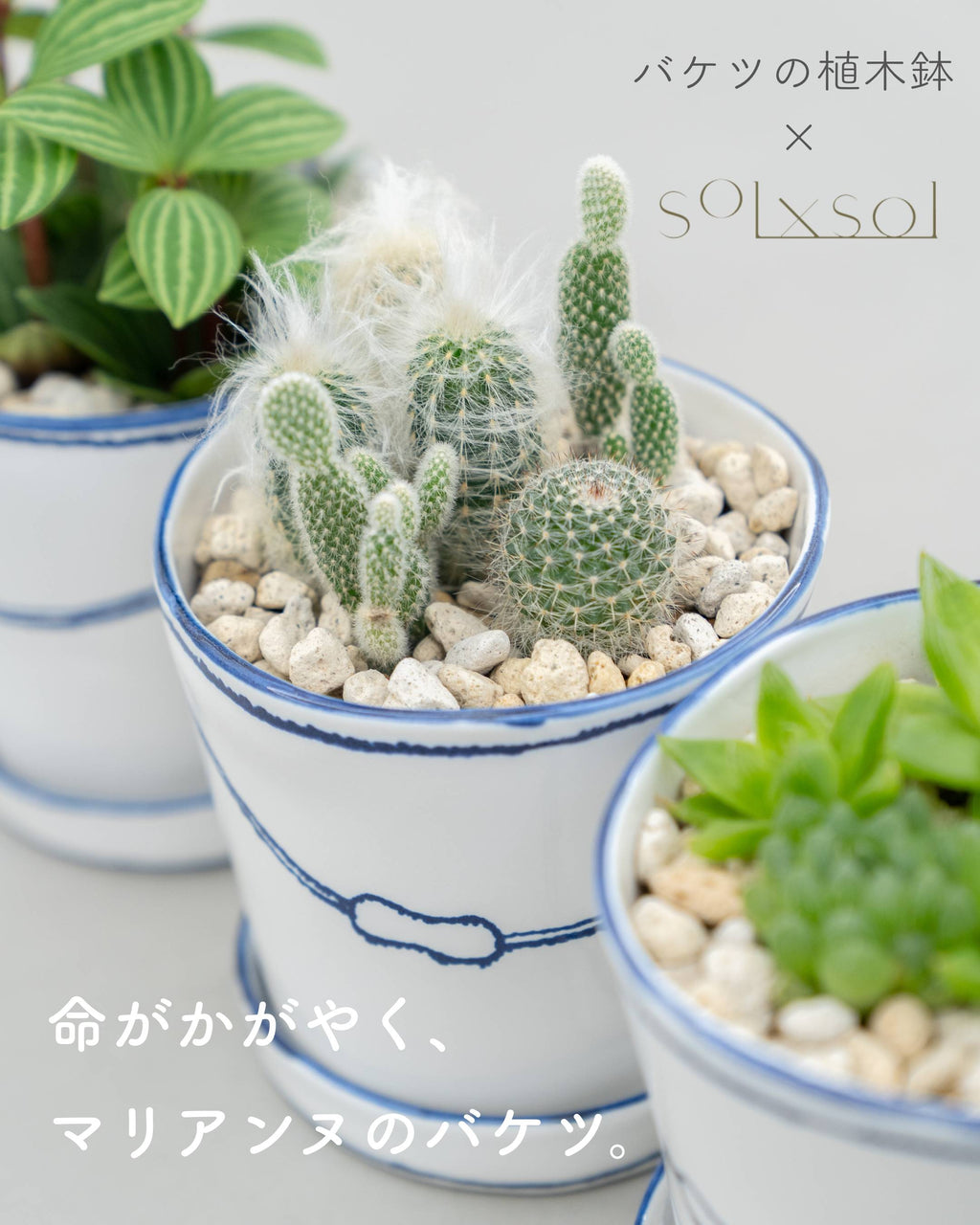 unnamed_98ed83a9-2415-4984-