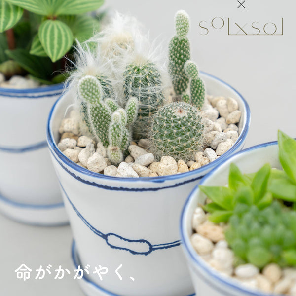 unnamed_98ed83a9-2415-4984-