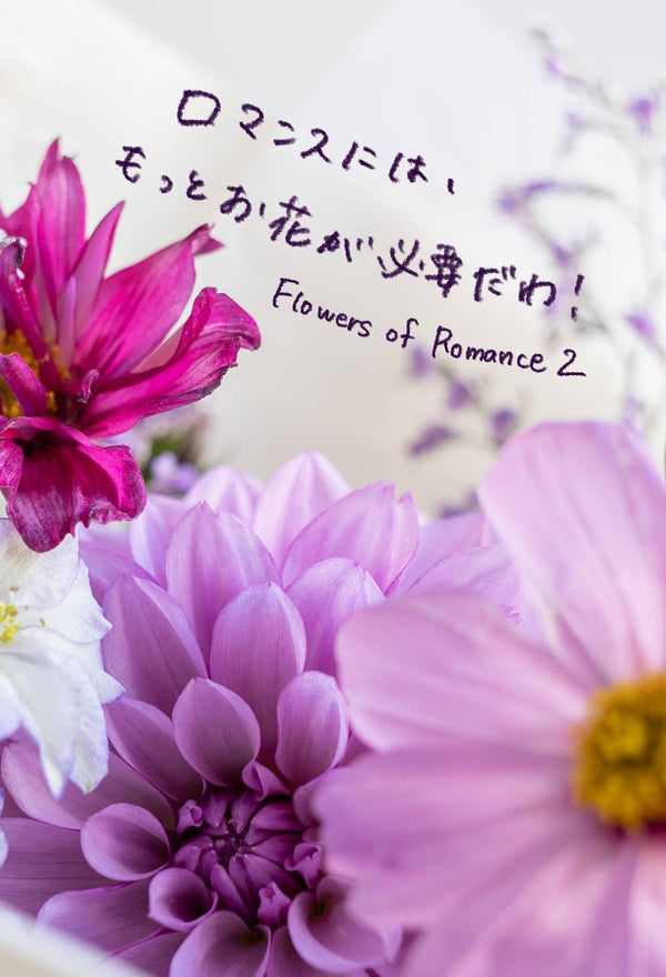 Flowers of romance 2