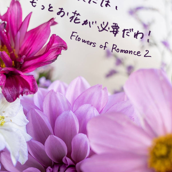Flowers of romance 2