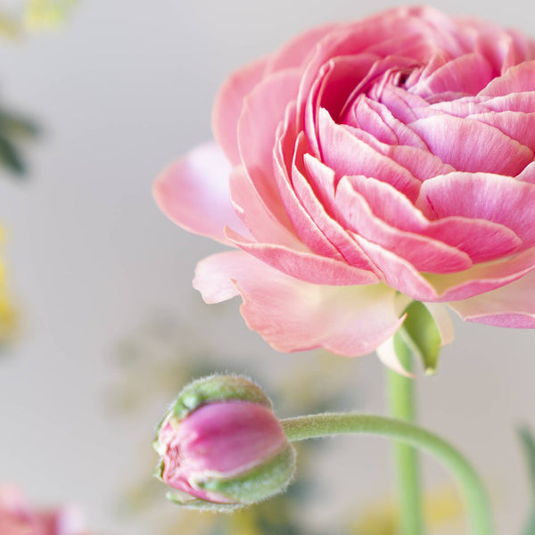 unnamed_ee0ace25-5e77-434a-