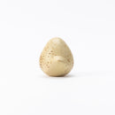 Bird （He,She）一组