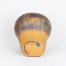 ライオン マキシ No.22