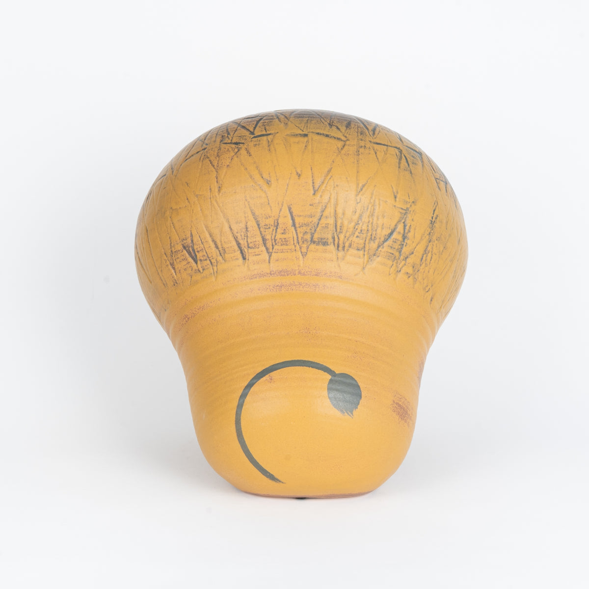 ライオン マキシ No.29