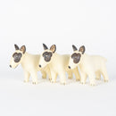 牛头梗（右侧斑点）