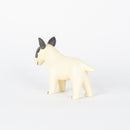 牛头梗（右侧斑点）