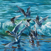 Handkerchief (waterfowl / wave)